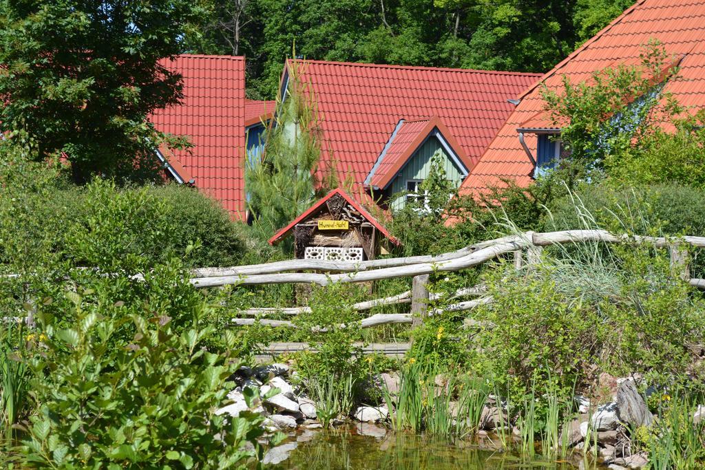 Holiday park Hasseroeder 3*
